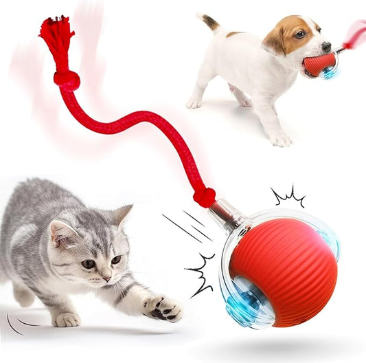 Smart Pet Playball