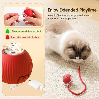 Smart Pet Playball